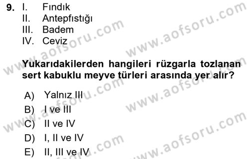 Bahçe Tarımı 2 Dersi 2021 - 2022 Yılı (Vize) Ara Sınav Soruları 9. Soru