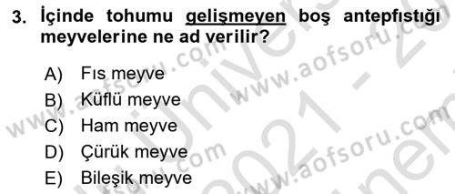 Bahçe Tarımı 2 Dersi 2021 - 2022 Yılı (Final) Dönem Sonu Sınavı 3. Soru