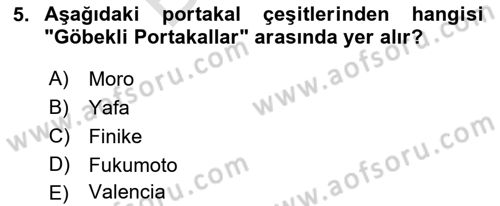Bahçe Tarımı 2 Dersi 2021 - 2022 Yılı (Final) Dönem Sonu Sınav Soruları 5. Soru