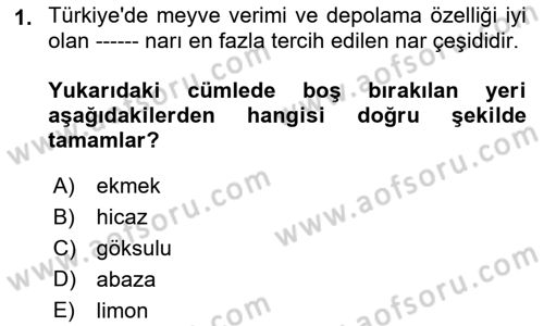 Bahçe Tarımı 2 Dersi 2021 - 2022 Yılı Yaz Okulu Sınavı 1. Soru