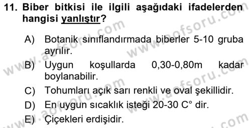 Bahçe Tarımı 2 Dersi 2021 - 2022 Yılı Yaz Okulu Sınavı 11. Soru