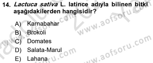Bahçe Tarımı 2 Dersi 2021 - 2022 Yılı Yaz Okulu Sınavı 14. Soru