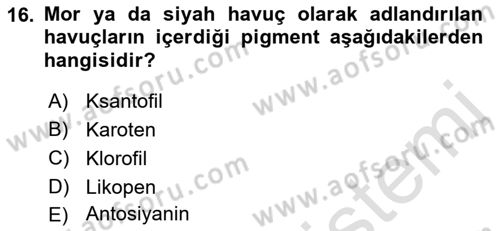 Bahçe Tarımı 2 Dersi 2021 - 2022 Yılı Yaz Okulu Sınavı 16. Soru