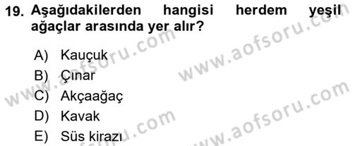 Bahçe Tarımı 2 Dersi 2021 - 2022 Yılı Yaz Okulu Sınavı 19. Soru