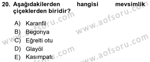 Bahçe Tarımı 2 Dersi 2021 - 2022 Yılı Yaz Okulu Sınavı 20. Soru