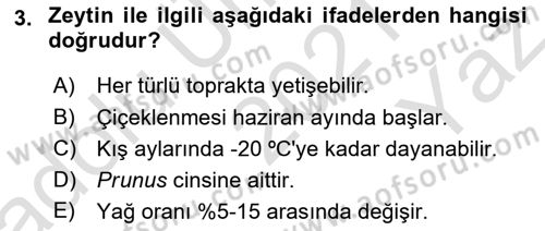 Bahçe Tarımı 2 Dersi 2021 - 2022 Yılı Yaz Okulu Sınavı 3. Soru