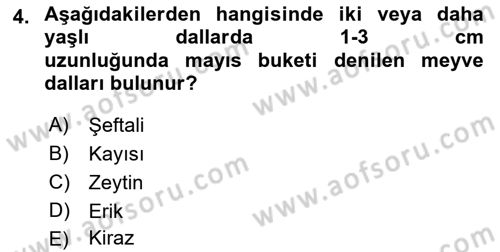 Bahçe Tarımı 2 Dersi 2021 - 2022 Yılı Yaz Okulu Sınavı 4. Soru