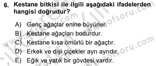 Bahçe Tarımı 2 Dersi 2021 - 2022 Yılı Yaz Okulu Sınavı 6. Soru