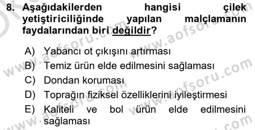 Bahçe Tarımı 2 Dersi 2021 - 2022 Yılı Yaz Okulu Sınavı 8. Soru