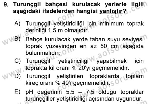 Bahçe Tarımı 2 Dersi 2021 - 2022 Yılı Yaz Okulu Sınavı 9. Soru