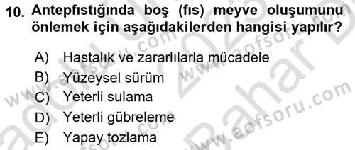 Bahçe Tarımı 2 Dersi 2023 - 2024 Yılı (Vize) Ara Sınav Soruları 10. Soru