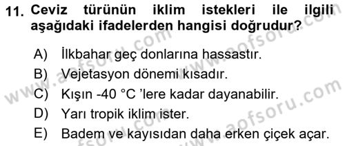 Bahçe Tarımı 2 Dersi 2023 - 2024 Yılı (Vize) Ara Sınav Soruları 11. Soru