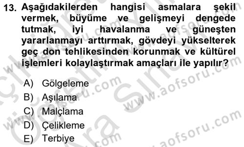 Bahçe Tarımı 2 Dersi 2023 - 2024 Yılı (Vize) Ara Sınav Soruları 13. Soru