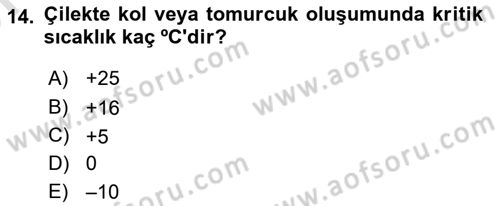 Bahçe Tarımı 2 Dersi 2023 - 2024 Yılı (Vize) Ara Sınav Soruları 14. Soru