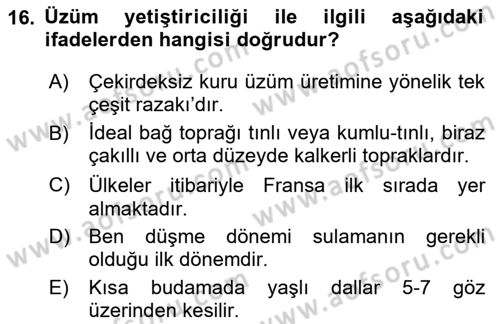 Bahçe Tarımı 2 Dersi 2023 - 2024 Yılı (Vize) Ara Sınav Soruları 16. Soru