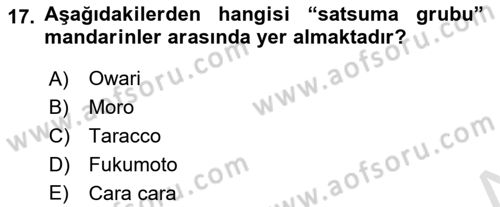 Bahçe Tarımı 2 Dersi 2023 - 2024 Yılı (Vize) Ara Sınav Soruları 17. Soru