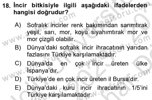 Bahçe Tarımı 2 Dersi 2023 - 2024 Yılı (Vize) Ara Sınav Soruları 18. Soru