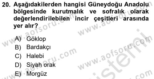 Bahçe Tarımı 2 Dersi 2023 - 2024 Yılı (Vize) Ara Sınav Soruları 20. Soru