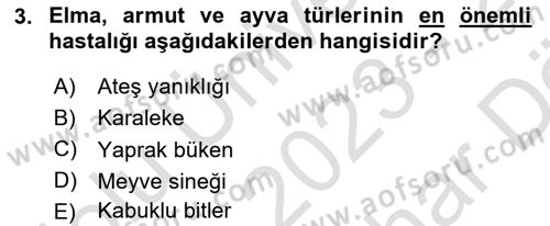 Bahçe Tarımı 2 Dersi 2023 - 2024 Yılı (Vize) Ara Sınavı 3. Soru