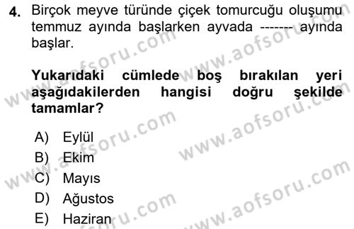 Bahçe Tarımı 2 Dersi 2023 - 2024 Yılı (Vize) Ara Sınav Soruları 4. Soru
