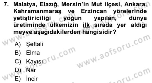 Bahçe Tarımı 2 Dersi 2023 - 2024 Yılı (Vize) Ara Sınav Soruları 7. Soru