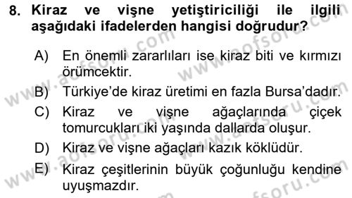 Bahçe Tarımı 2 Dersi 2023 - 2024 Yılı (Vize) Ara Sınav Soruları 8. Soru