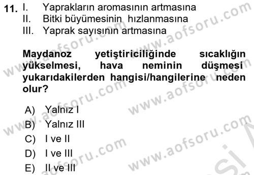 Bahçe Tarımı 2 Dersi 2023 - 2024 Yılı (Final) Dönem Sonu Sınav Soruları 11. Soru