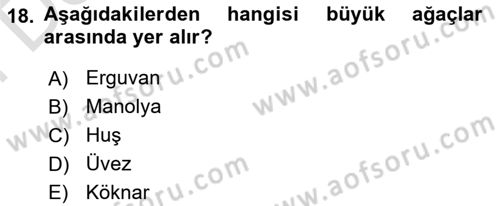 Bahçe Tarımı 2 Dersi 2023 - 2024 Yılı (Final) Dönem Sonu Sınav Soruları 18. Soru