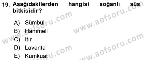 Bahçe Tarımı 2 Dersi 2023 - 2024 Yılı (Final) Dönem Sonu Sınav Soruları 19. Soru