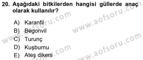 Bahçe Tarımı 2 Dersi 2023 - 2024 Yılı (Final) Dönem Sonu Sınav Soruları 20. Soru