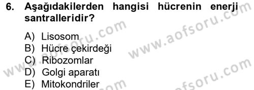 Gıda Bilimi ve Teknolojisi Dersi 2012 - 2013 Yılı (Vize) Ara Sınav Soruları 6. Soru