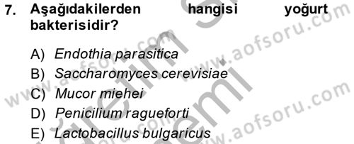 Gıda Bilimi ve Teknolojisi Dersi 2013 - 2014 Yılı (Vize) Ara Sınav Soruları 7. Soru
