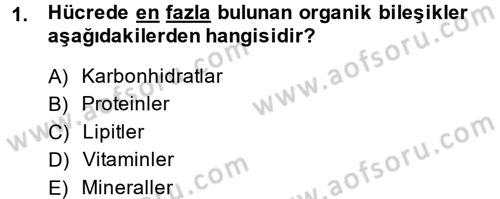 Gıda Bilimi ve Teknolojisi Dersi 2013 - 2014 Yılı Tek Ders Sınavı 1. Soru