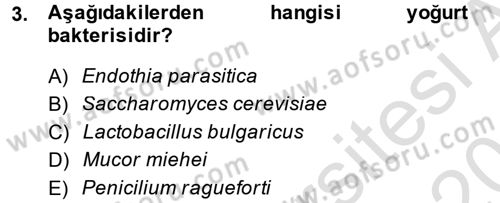 Gıda Bilimi ve Teknolojisi Dersi 2013 - 2014 Yılı Tek Ders Sınavı 3. Soru