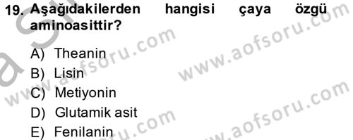 Gıda Bilimi ve Teknolojisi Dersi 2014 - 2015 Yılı (Vize) Ara Sınav Soruları 19. Soru