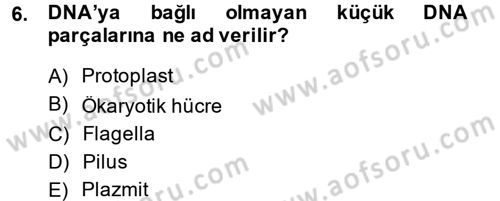 Gıda Bilimi ve Teknolojisi Dersi 2014 - 2015 Yılı (Vize) Ara Sınav Soruları 6. Soru