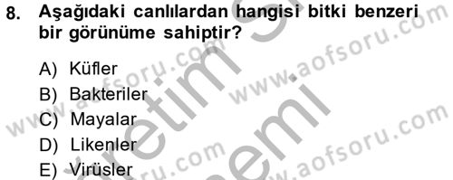 Gıda Bilimi ve Teknolojisi Dersi 2014 - 2015 Yılı (Vize) Ara Sınav Soruları 8. Soru