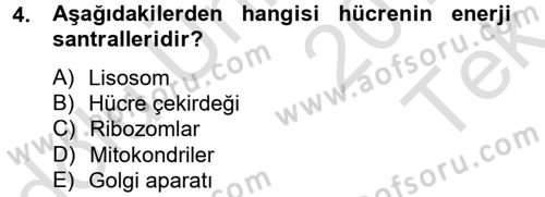 Gıda Bilimi ve Teknolojisi Dersi 2014 - 2015 Yılı Tek Ders Sınav Soruları 4. Soru