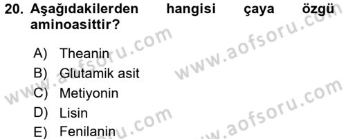Gıda Bilimi ve Teknolojisi Dersi 2015 - 2016 Yılı (Vize) Ara Sınav Soruları 20. Soru