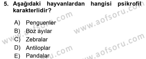 Gıda Bilimi ve Teknolojisi Dersi 2015 - 2016 Yılı (Vize) Ara Sınav Soruları 5. Soru