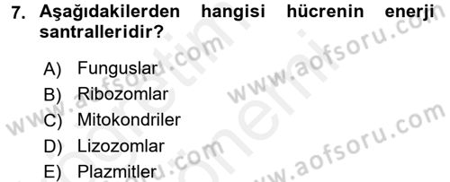 Gıda Bilimi ve Teknolojisi Dersi 2015 - 2016 Yılı (Vize) Ara Sınav Soruları 7. Soru