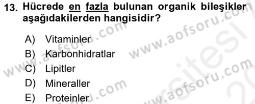 Gıda Bilimi ve Teknolojisi Dersi 2015 - 2016 Yılı Tek Ders Sınav Soruları 13. Soru