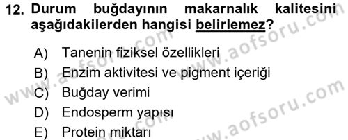 Gıda Bilimi ve Teknolojisi Dersi 2016 - 2017 Yılı 3 Ders Sınav Soruları 12. Soru