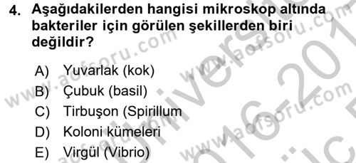 Gıda Bilimi ve Teknolojisi Dersi 2016 - 2017 Yılı 3 Ders Sınav Soruları 4. Soru