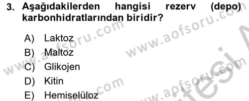 Gıda Bilimi ve Teknolojisi Dersi 2016 - 2017 Yılı (Vize) Ara Sınav Soruları 3. Soru