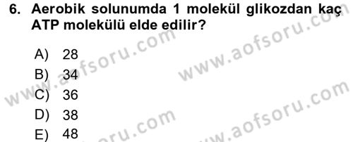 Gıda Bilimi ve Teknolojisi Dersi 2016 - 2017 Yılı (Vize) Ara Sınav Soruları 6. Soru
