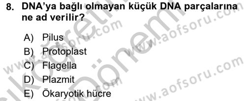 Gıda Bilimi ve Teknolojisi Dersi 2016 - 2017 Yılı (Vize) Ara Sınav Soruları 8. Soru