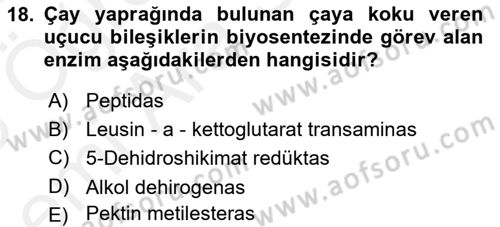 Gıda Bilimi ve Teknolojisi Dersi 2017 - 2018 Yılı (Vize) Ara Sınav Soruları 18. Soru