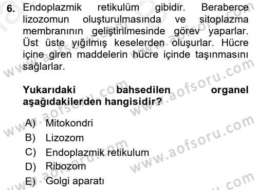 Gıda Bilimi ve Teknolojisi Dersi 2017 - 2018 Yılı (Vize) Ara Sınav Soruları 6. Soru