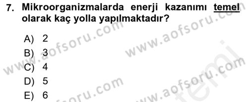 Gıda Bilimi ve Teknolojisi Dersi 2017 - 2018 Yılı (Vize) Ara Sınav Soruları 7. Soru